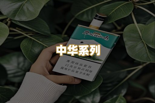 中华系列